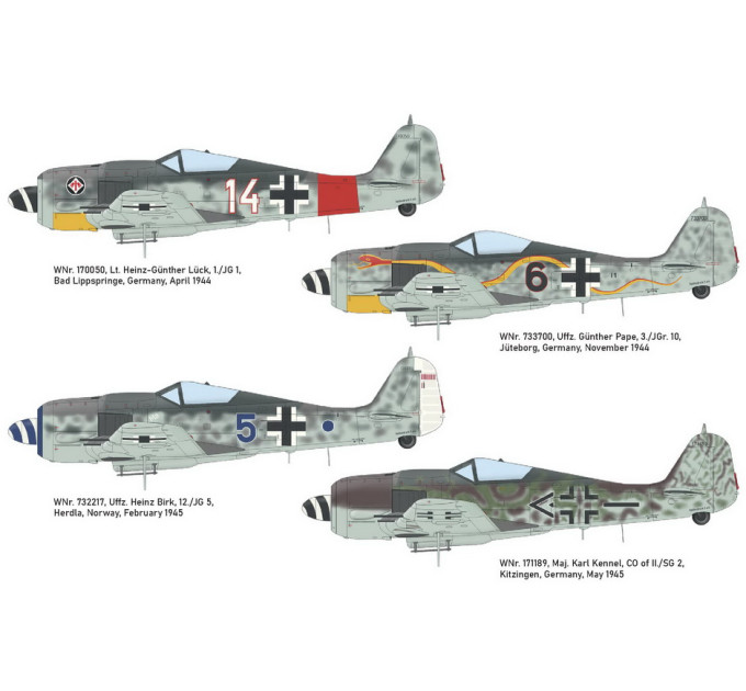 Fw 190A-8 1/48