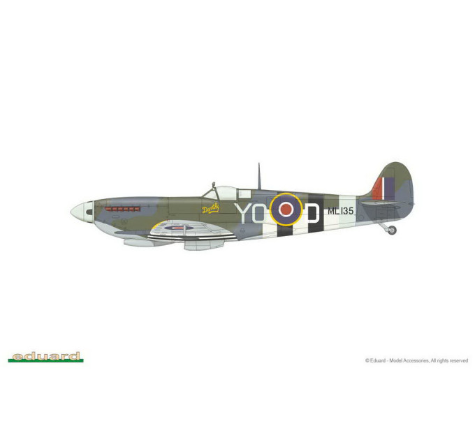 Spitfire LF Mk. IXc 1/48
