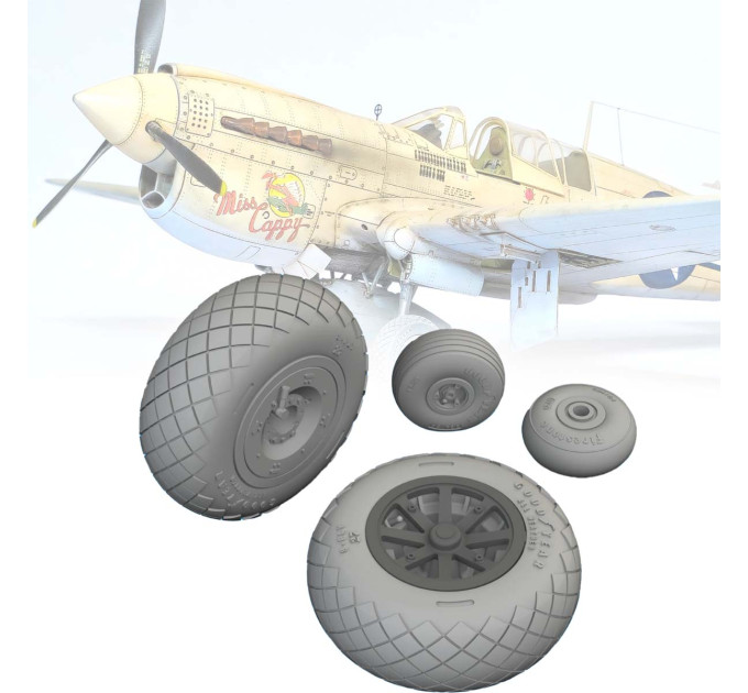 Колеса P-40N 1/48 Eduard 6481134