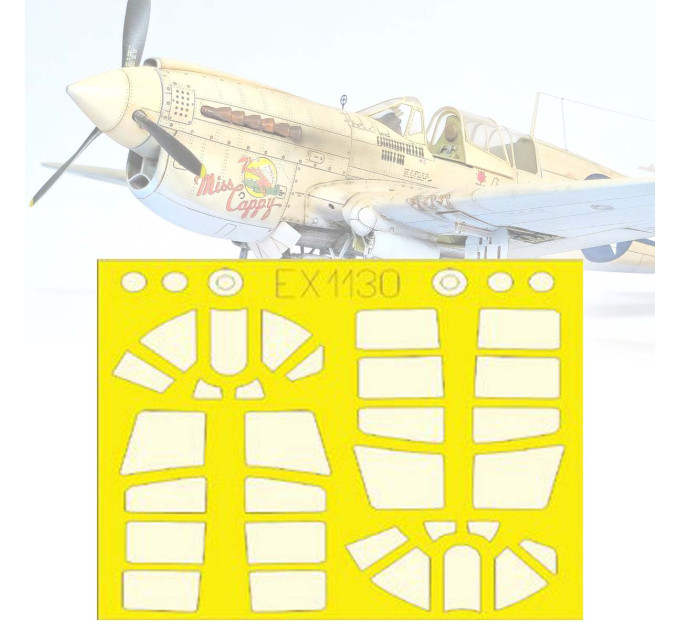 Маски P-40N TFace 1/48 Eduard EX1130